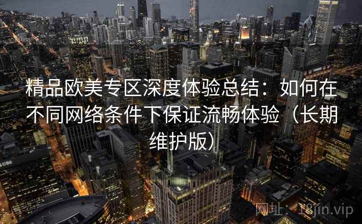 精品欧美专区深度体验总结：如何在不同网络条件下保证流畅体验（长期维护版）
