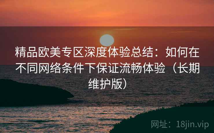 精品欧美专区深度体验总结：如何在不同网络条件下保证流畅体验（长期维护版）