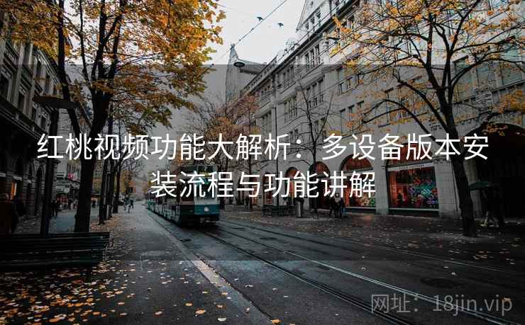 红桃视频功能大解析：多设备版本安装流程与功能讲解