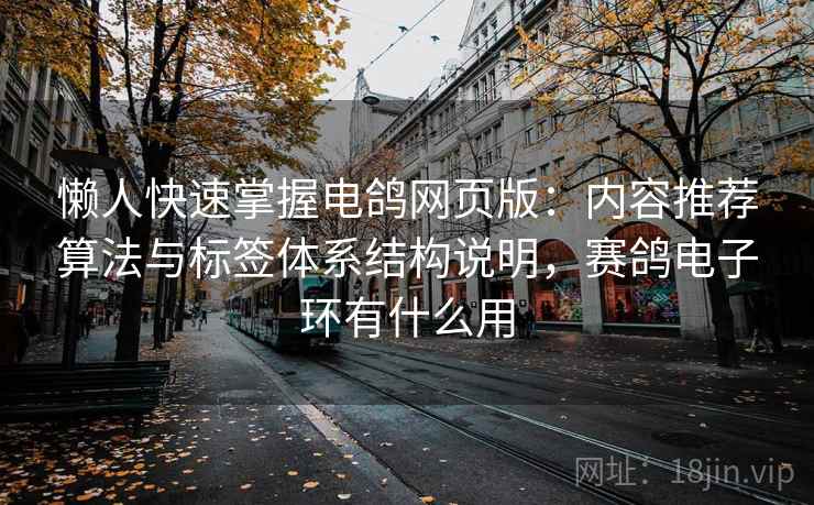 懒人快速掌握电鸽网页版：内容推荐算法与标签体系结构说明，赛鸽电子环有什么用