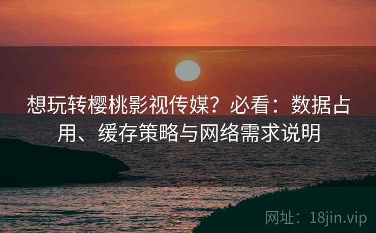 想玩转樱桃影视传媒？必看：数据占用、缓存策略与网络需求说明