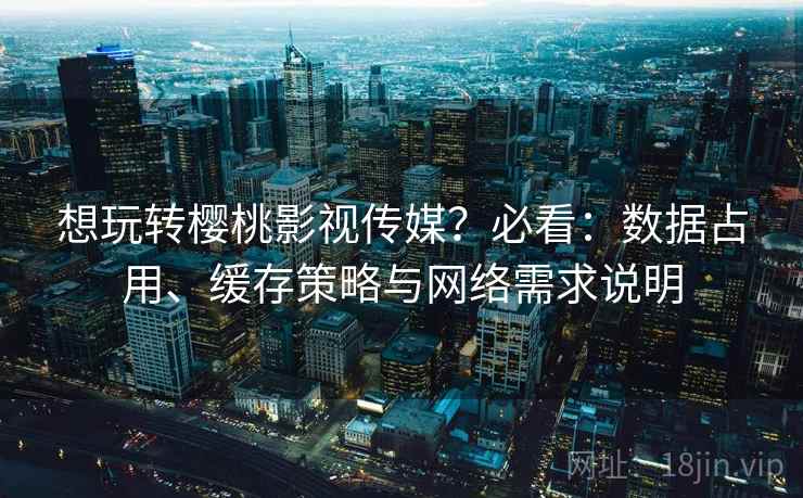 想玩转樱桃影视传媒？必看：数据占用、缓存策略与网络需求说明