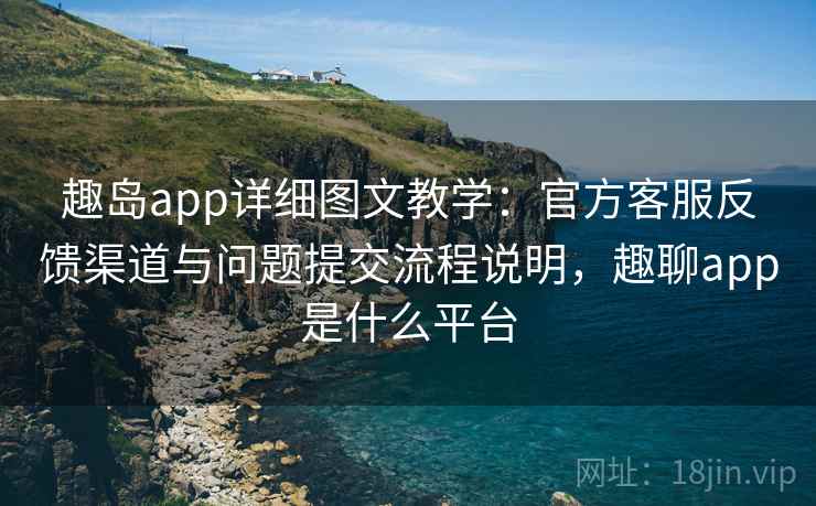 趣岛app详细图文教学：官方客服反馈渠道与问题提交流程说明，趣聊app是什么平台