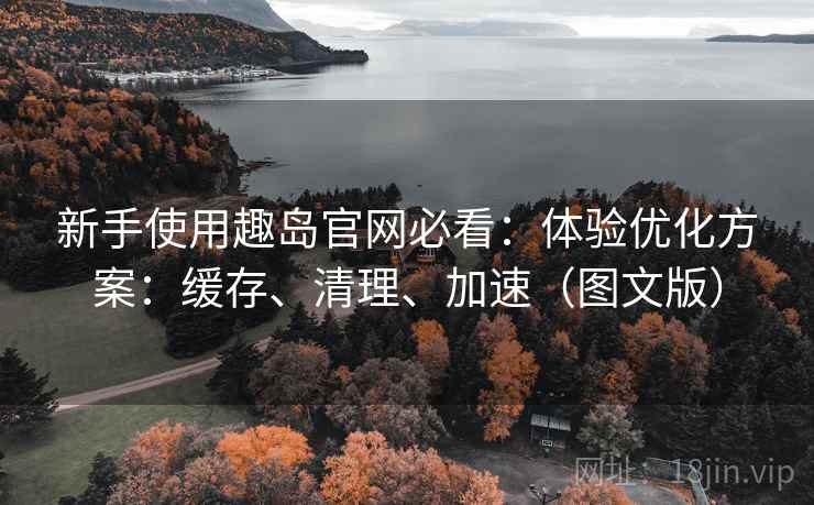 新手使用趣岛官网必看：体验优化方案：缓存、清理、加速（图文版）