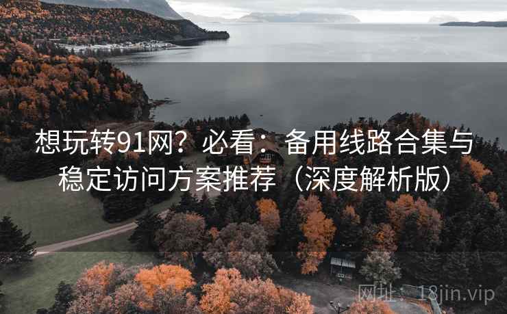 想玩转91网？必看：备用线路合集与稳定访问方案推荐（深度解析版）