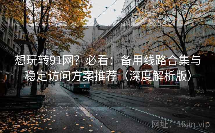 想玩转91网？必看：备用线路合集与稳定访问方案推荐（深度解析版）