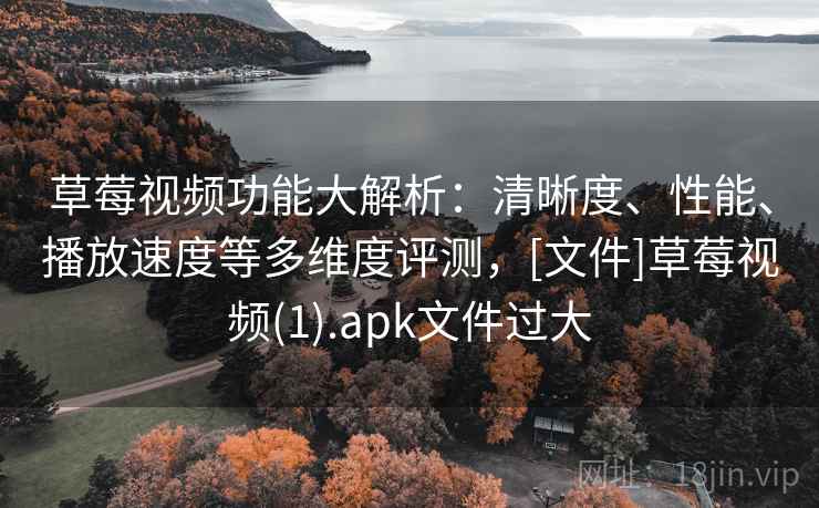草莓视频功能大解析：清晰度、性能、播放速度等多维度评测，[文件]草莓视频(1).apk文件过大