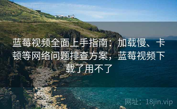 蓝莓视频全面上手指南：加载慢、卡顿等网络问题排查方案，蓝莓视频下载了用不了