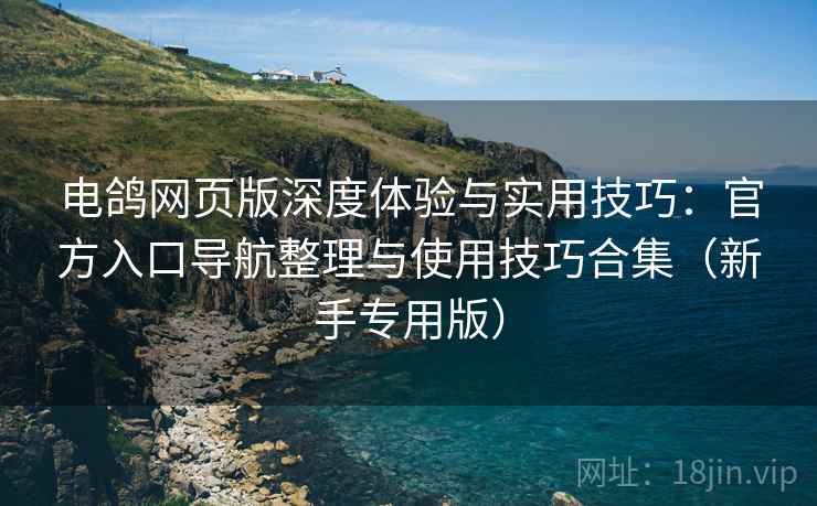 电鸽网页版深度体验与实用技巧：官方入口导航整理与使用技巧合集（新手专用版）