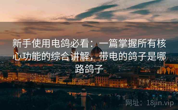 新手使用电鸽必看:一篇掌握所有核心功能的综合讲解,带电的鸽子是哪路鸽子 新手使用电鸽必看:一篇掌握所有核心功能的综合讲解,带电的鸽子是哪路鸽子