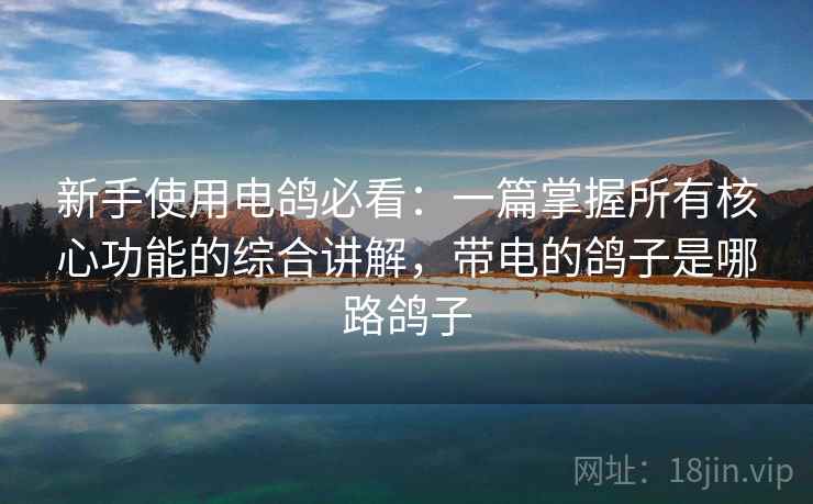 新手使用电鸽必看:一篇掌握所有核心功能的综合讲解,带电的鸽子是哪路鸽子 新手使用电鸽必看:一篇掌握所有核心功能的综合讲解,带电的鸽子是哪路鸽子
